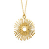 Collier Brune 50cm acier PVD doré